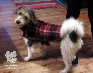 Hundemantel Karo McCall 4686