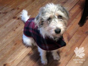 Hundemantel Karo McCall 4686