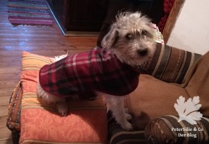 Hundemantel Karo McCall 4686