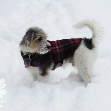 Hundemantel Karo McCall 4686