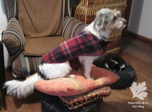 Hundemantel Karo McCall 4686