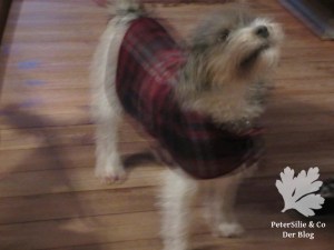 Hundemantel Karo McCall 4686