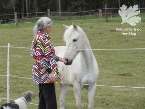 Blouson burda 10/2015 Mod 121