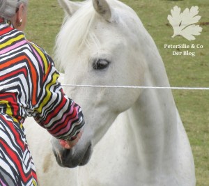 Blouson Burda 10/2015 modell 121