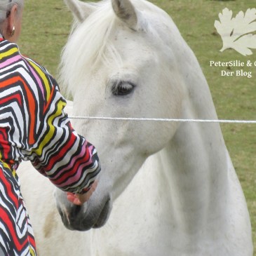 Blouson Burda 10/2015 modell 121