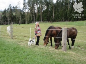 Blouson Burda 10/2015 Modell121