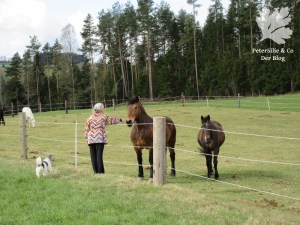 Blouson Burda 10/2015 Modell121