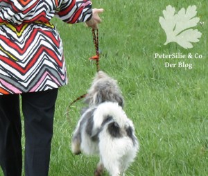 Blouson Burda10/2015 Modell121