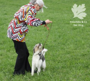 Blouson Burda 10/2015 modell121