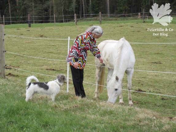 Blouson Burda 10/2015 Modell121