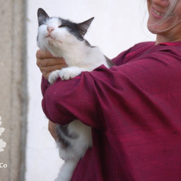 Handloom mit Bordüre Jacke für Karlotta Pink