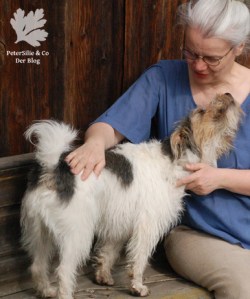 Japanisch Nähen Bluse