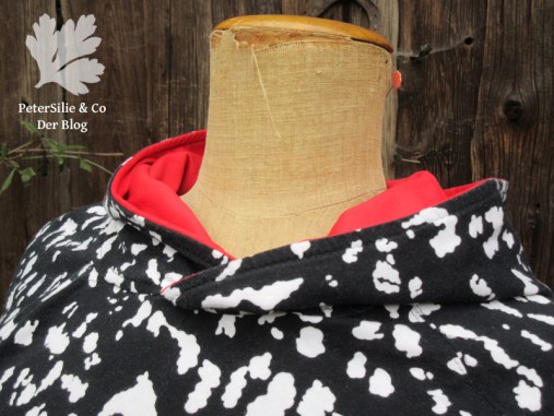 Blutsgeschwister Hoody SW