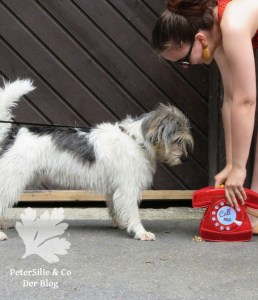 Pramo 5/1968 A-Linien Kleid, 60s dress, Vintage nähen blog, Shweshwe Stoff von Karlotta Pink