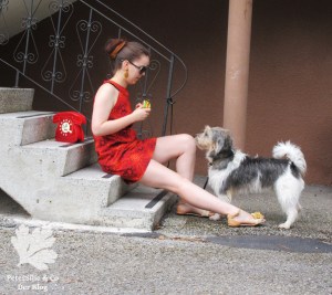 Pramo 5/1968 A-Linien Kleid, 60s dress, Vintage nähen blog, Shweshwe Stoff von Karlotta Pink