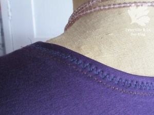 Schlupfbluse Blutsgeschwister Buch Naht Jersey