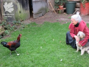 Walkstrick Jacke burda9/2002 Mod117