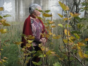 Schlupfbluse Aborigineprint Karlotta Pink Blutsgeschwister Nähbuch