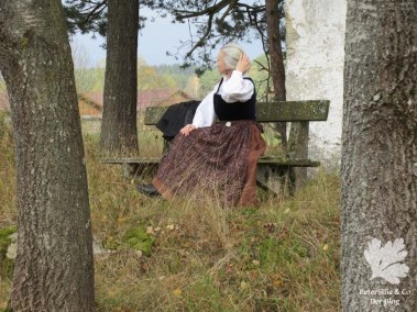 Dirndl Leinen/ Samt, Schürze Baumwollprint( Karlotta Pink)