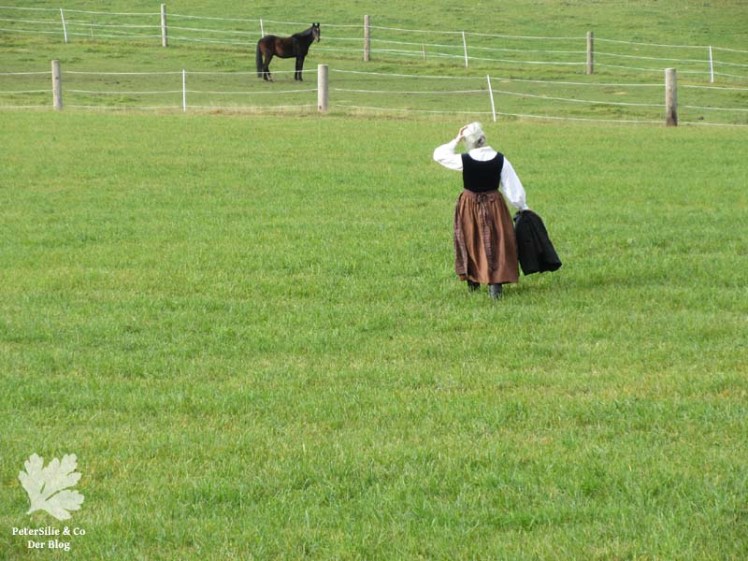 Dirndl Leinen/ Samt, Schürze Baumwollprint( Karlotta Pink)