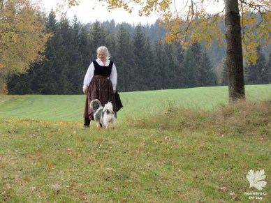 Dirndl Leinen/ Samt, Schürze Baumwollprint( Karlotta Pink)