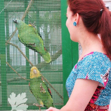 Waxprintkleid Beyer Mode 50er Vintage Retro nähen Blog Karlotta Pink PeterSilieundCo