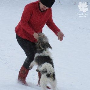 Jacke Burda12/2007 Mod 119 Strickwalk