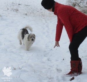 Jacke Burda12/2007 Mod 119 Strickwalk