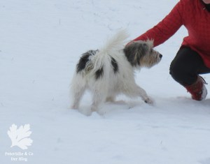 Jacke Burda12/2007 Mod 119 Strickwalk