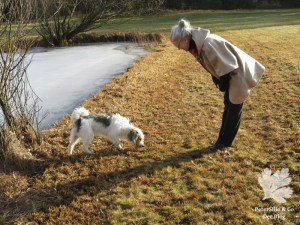 Cape Walk Annaextra Nähstyle 2016