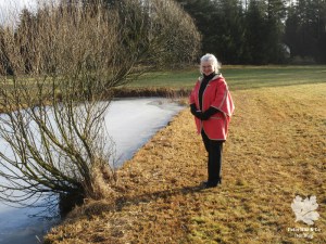 Cape Walk Annaextra Nähstyle 2016