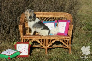 Polster Siebruck Irisdruck Patchwork