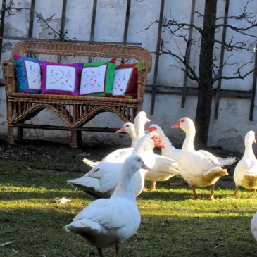 Polster Siebruck Irisdruck Patchwork