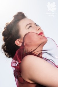 Ballkleid Vintage Organza nähen Ronne How to do fashion blouse Bluse