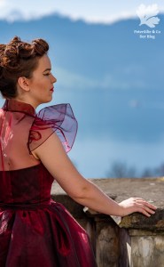 Ballkleid nähen Vintage Kleid Organza 50s Blog