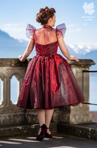 Burdastyle Talent 2018 Ballkleid Vintage Nähen Organza