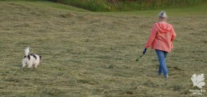 Jacke Burda 10/99 Leinen Karlotta Pink