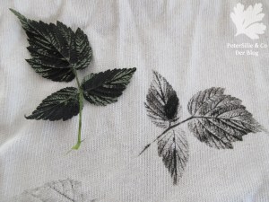 Himbeerblatt und Abdruck