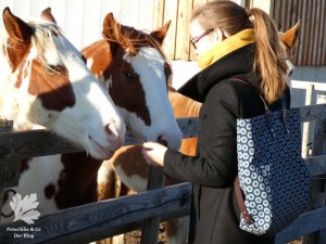 Costermonger Merchant & Mills ShweShwe Rucksack