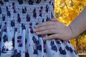 Popover Dress Gertie Sews Jiffy Dresses Buch Rezension Blog Nähen Vintage Kleid DIY