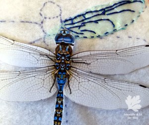 Libelle Hangestickt Stickerei Organza Perlen Filz Tutorial