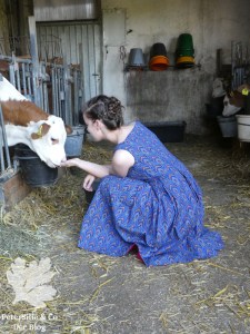 ShewShew Dirndl nähen Karlotta Pink Afrika Blog Nähblog Vintage Burda