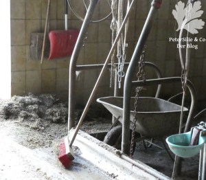 ShewShew Dirndl nähen Karlotta Pink Afrika Blog Nähblog Vintage Burda