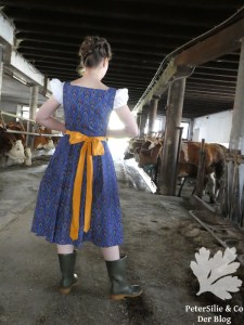 ShewShew Dirndl nähen Karlotta Pink Afrika Blog Nähblog Vintage Burda
