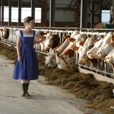 ShewShew Dirndl nähen Karlotta Pink Afrika Blog Nähblog Vintage Burda