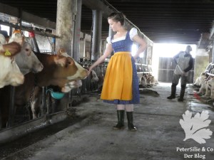 ShewShew Dirndl nähen Karlotta Pink Afrika Blog Nähblog Vintage Burda