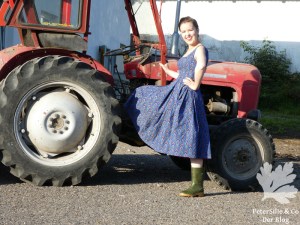 ShewShew Dirndl nähen Karlotta Pink Afrika Blog Nähblog Vintage Burda