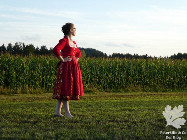 sarongdirndl rot11