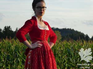 Dirndl nähkurs nähen Nähblog PeterSilie&Co Karlotta Pink Sarongstoff Chanderiseide MeiDirndl
