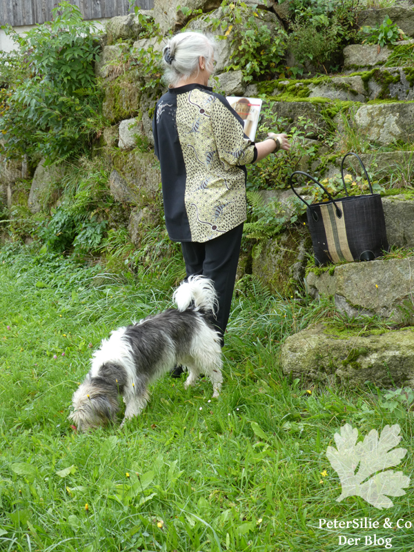 goanna and snake aboriginestoff karlotta pink stiebner verschlüsse